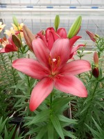 [5079 Constable No01.JPG]